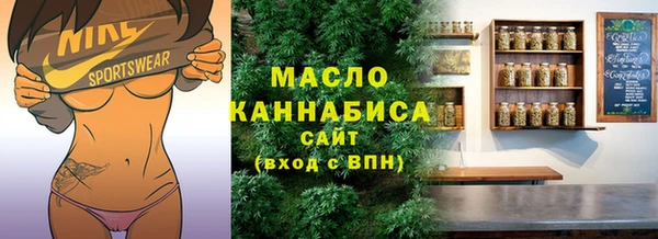 индика Бикин