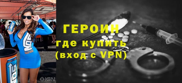 индика Бикин