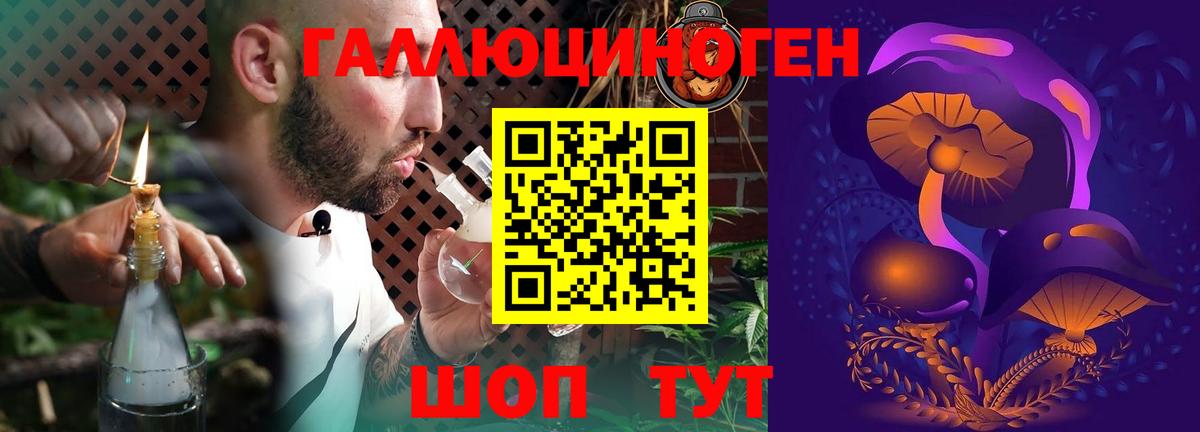 где купить наркоту  Галлюциногенные грибы Magic Shrooms  Вход с VPN  Нальчик 